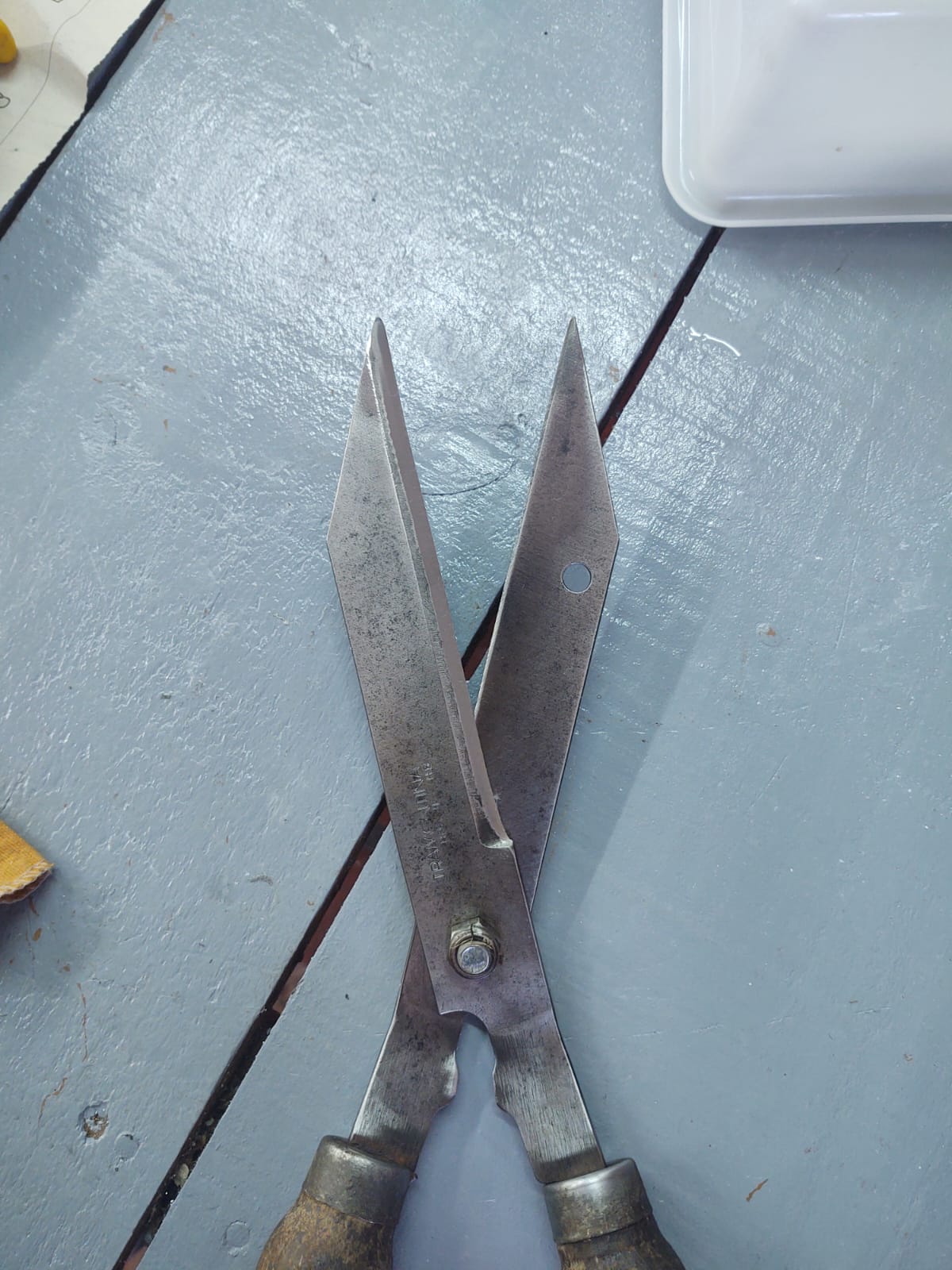 Tesoura de Poda depois