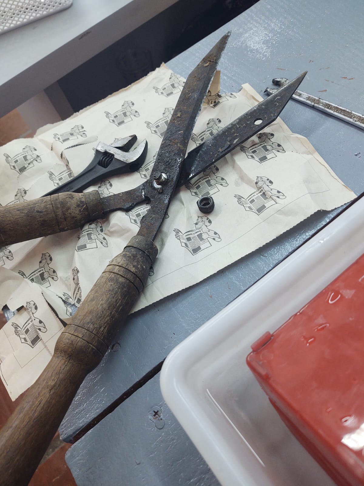 Tesoura de Poda antes